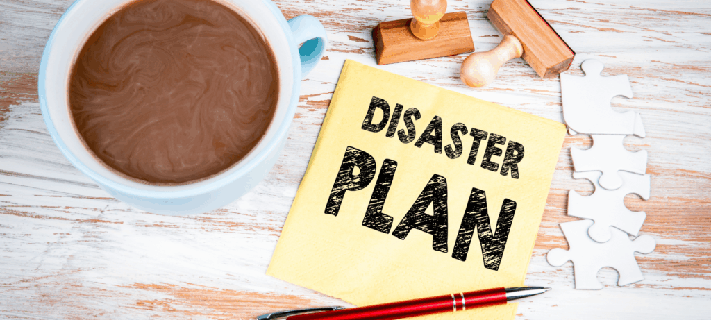 A recovery strategy is needed before disaster occurs.