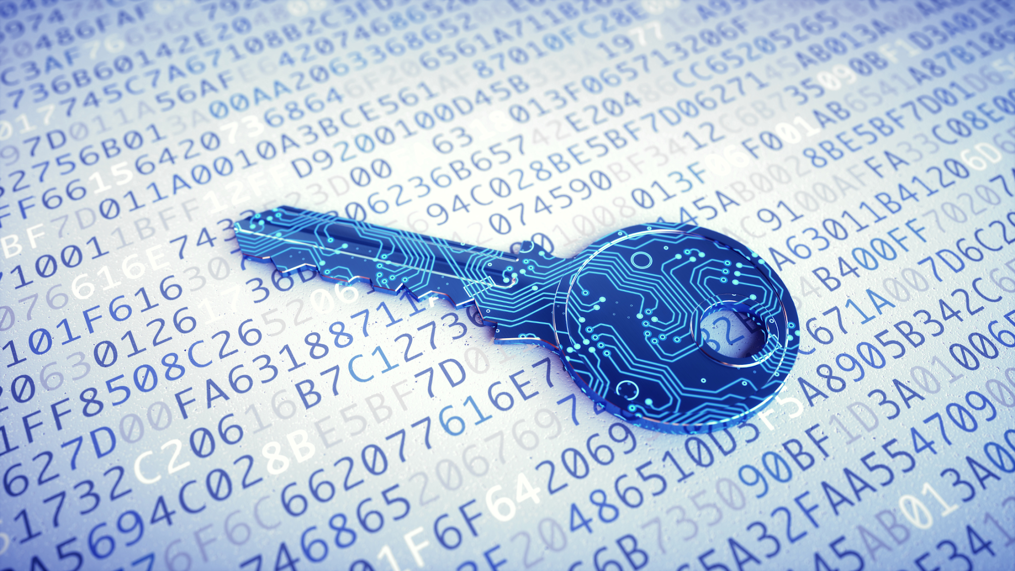 Data protection providers help organizations secure sensitive data and maintain compliance across cloud storage and distributed recovery environments.